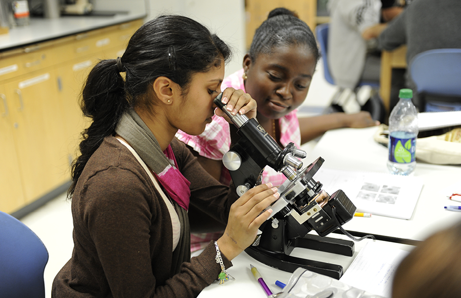 Two students working at a microscope