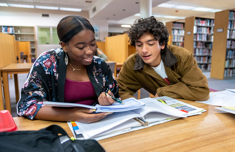 Students studying in the Library