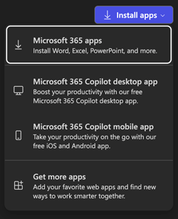 Install button displaying options