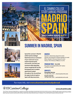 Study Abroad Flyer