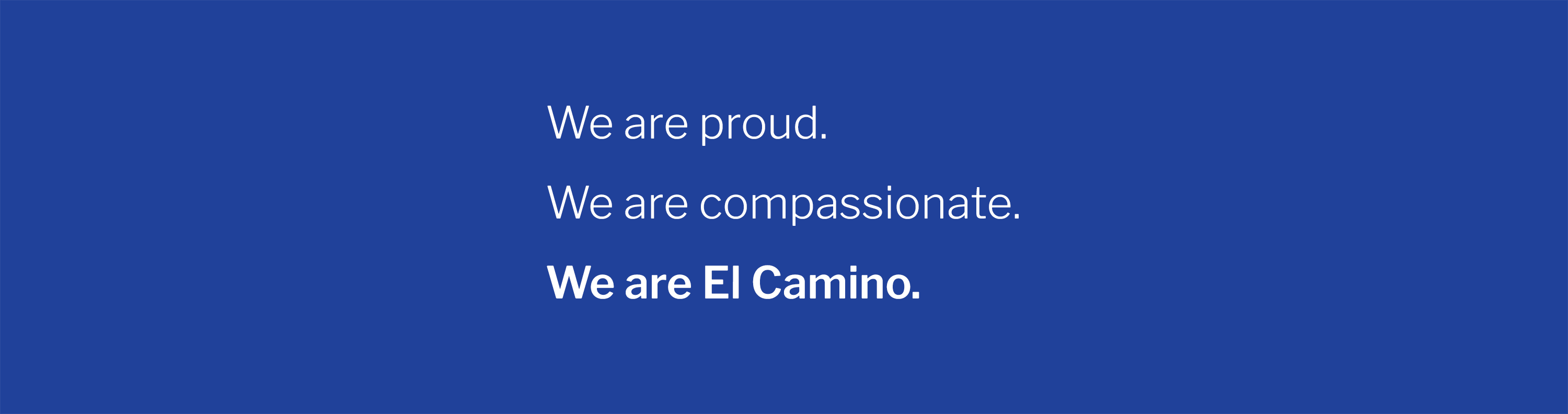 We are El Camino.