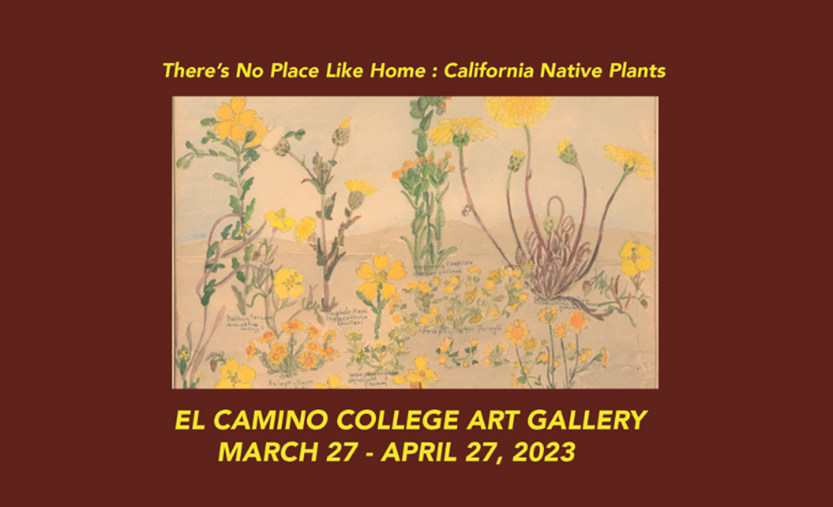 art-gallery-hosts-theres-no-place-like-home-california-native-plants