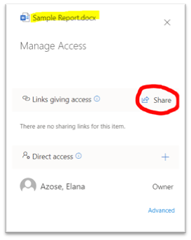 Image of OneDrive Share Option