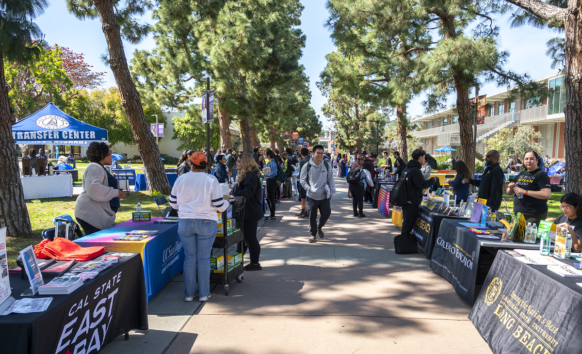 Representatives from colleges and universities tabling at the University Fair on Library Lawn.