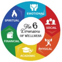 Wellness Wheel