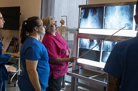 Instructor pointing at x-rays to students in class