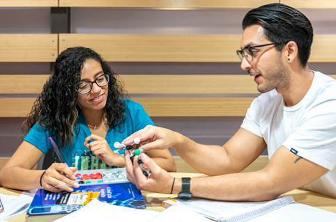 STEM students studying together