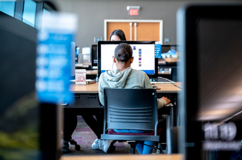 Woman working on the computer